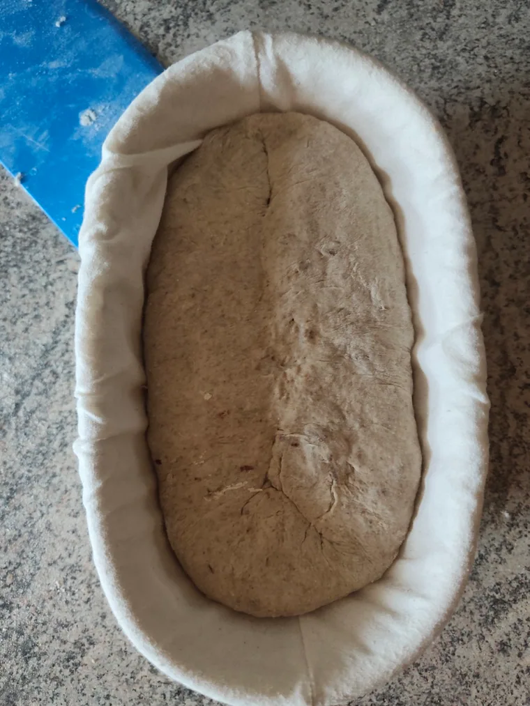 Röstzwiebelbrot im Gärkorb zu Beginn der Stückgare